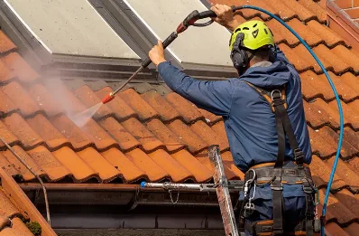 Démoussage et hydrofuge de toiture aux Pieux